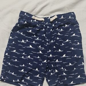 Crewcuts Blue Patterned Shorts